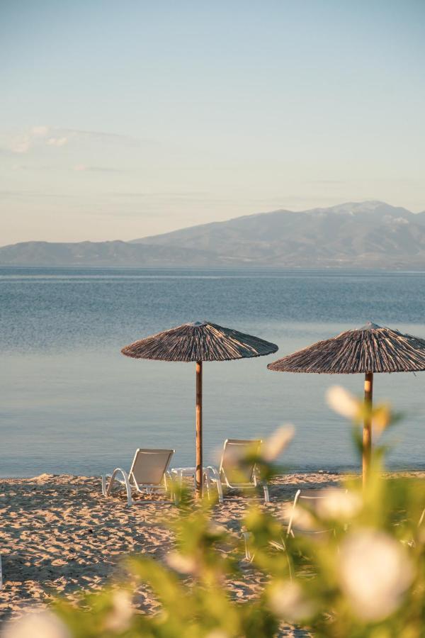 Calma Beach Hotel Stavros  Eksteriør billede